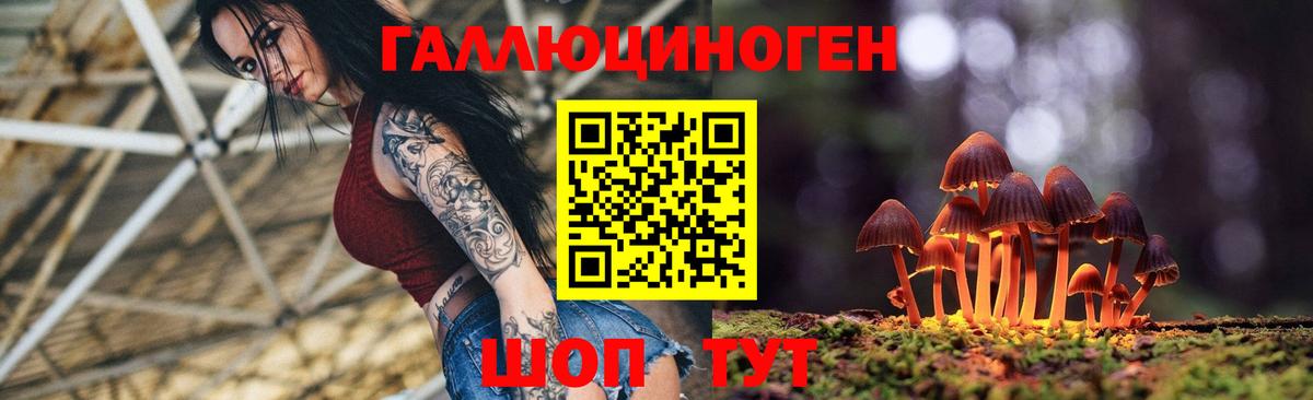 Галлюциногенные грибы прущие грибы  Вход с VPN  Заинск 